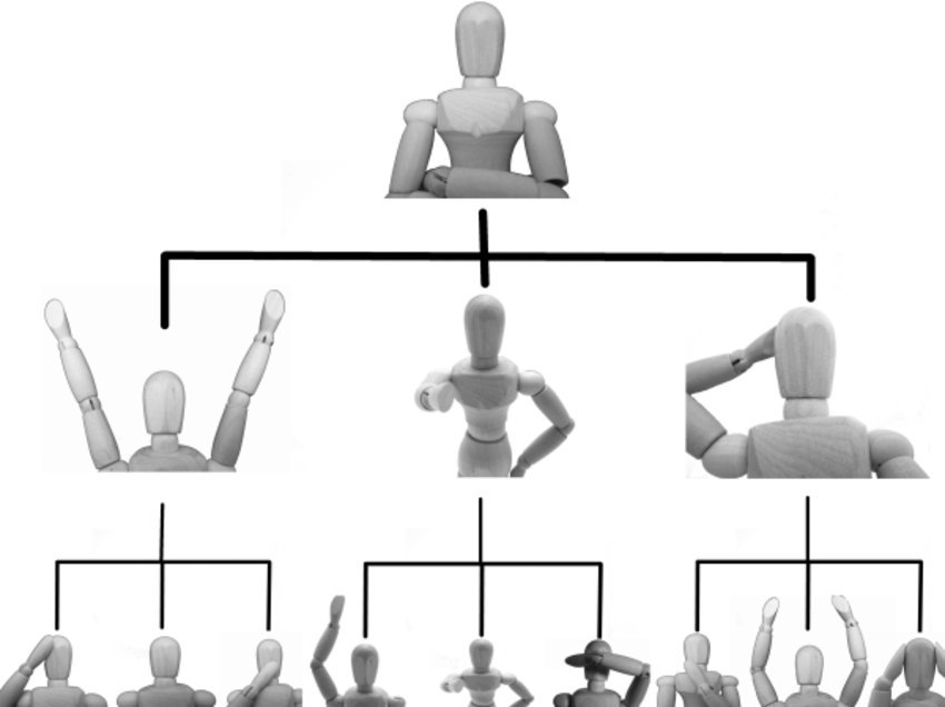 法定相続人の範囲